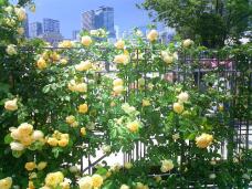 186299_2.jpg  : 129 KB