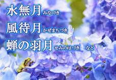 186325_2.jpg  : 69 KB
