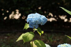 186401_2.jpg  : 86 KB