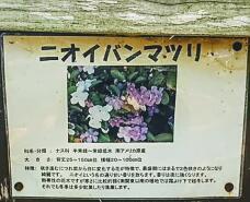 186436_3.jpg  : 86 KB