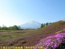 186863_1.jpg  : 64 KB