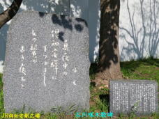186945_2.jpg  : 87 KB