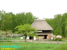 187138_2.jpg  : 71 KB