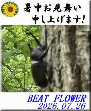 187246_1.jpg  : 74 KB