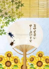 187268_3.jpg  : 72 KB
