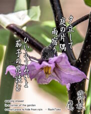 187307_1.jpg  : 194 KB