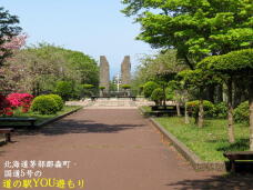 187349_3.jpg  : 81 KB