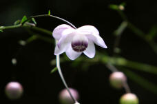 187356_2.jpg  : 27 KB