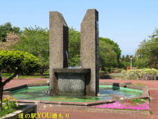 187366_1.jpg  : 79 KB