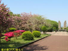 187366_2.jpg  : 71 KB