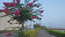 187483_1.jpg  : 215 KB