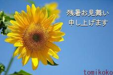 187504_3.jpg  : 61 KB