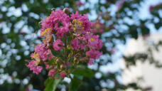 187522_1.jpg  : 127 KB