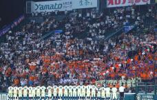 187629_3.jpg  : 101 KB