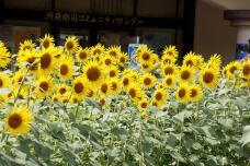 187634_1.jpg  : 131 KB