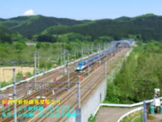 187663_3.jpg  : 42 KB
