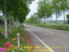 187714_2.jpg  : 81 KB