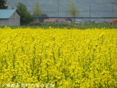 187807_2.jpg  : 72 KB