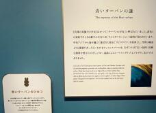 187906_2.jpg  : 78 KB