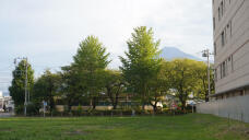 187938_1.jpg  : 172 KB