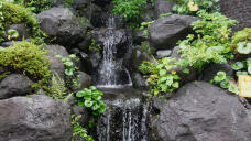 188096_1.jpg  : 274 KB