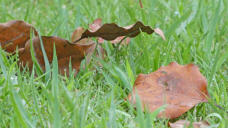 188126_1.jpg  : 180 KB