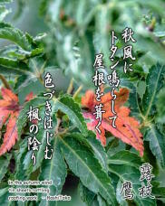 188189_1.jpg  : 263 KB