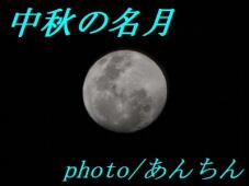 188221_1.jpg  : 21 KB