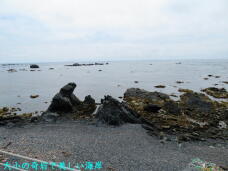 188265_3.jpg  : 52 KB