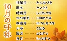 188319_3.jpg  : 55 KB