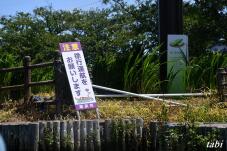 188407_2.jpg  : 164 KB