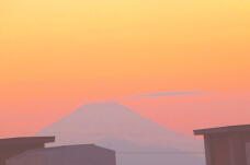 188463_2.jpg  : 27 KB