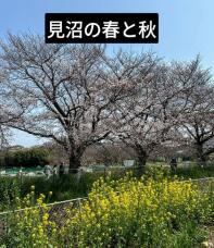 188599_1.jpg  : 168 KB