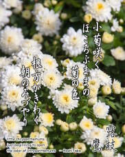 188604_1.jpg  : 245 KB