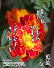 188696_1.jpg  : 226 KB