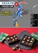 393_2.jpg  : 138 KB