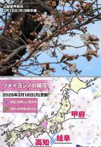437_1.jpg  : 243 KB