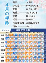 465_1.jpg  : 207 KB