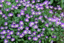 547_1.jpg  : 138 KB