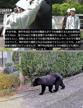 591_2.jpg  : 243 KB