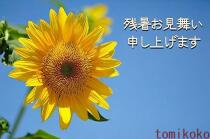 687_3.jpg  : 61 KB
